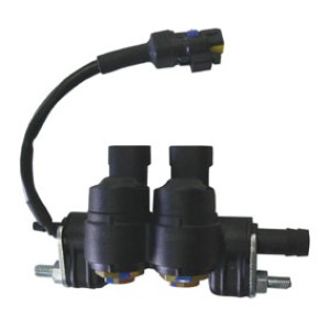 Rail mit 2 Injectoren und Temperatursensor