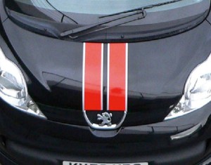 Twin-stripe decals