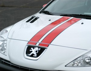 Twin-stripe decals