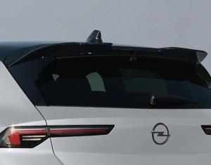 Rear spoiler (wing type)