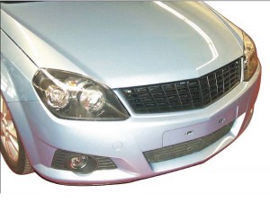 Radiator grille insert