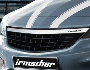 Radiator grille (stainless-steel)