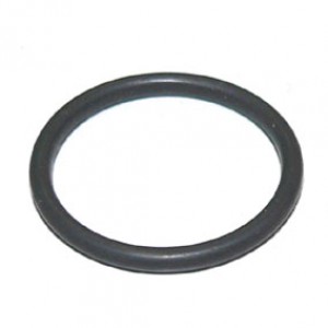 O-RING FUER DUESE